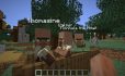 Villager Names [Fabric][Quilt] image 1