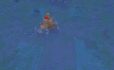 Сид «Четые подводных крепости и грибной остров» image 1